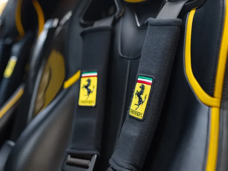 2015 Ferrari LaFerrari - Image 18 of 31
