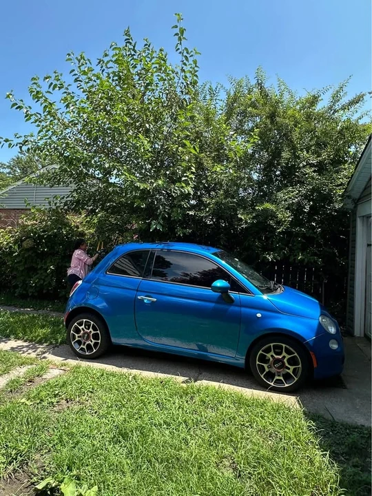 2015 Fiat 500 - Image 11 of 11