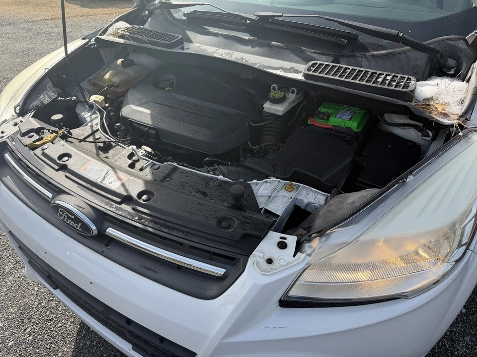 2015 Ford Escape - Image 3 of 21