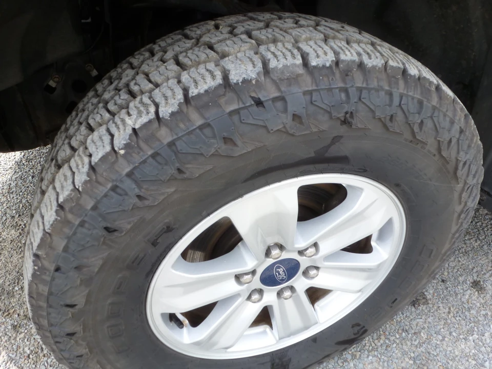 2015 Ford F-150 13th Gen - Image 16 of 16