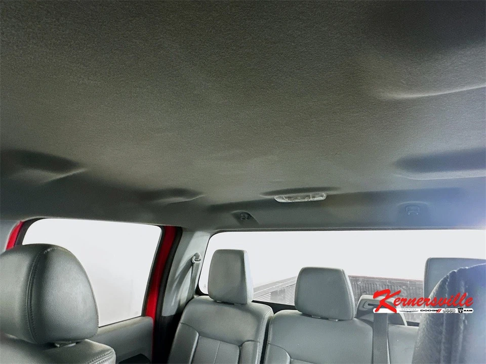 2015 Ford Super Duty 3rd Gen - Image 19 of 21
