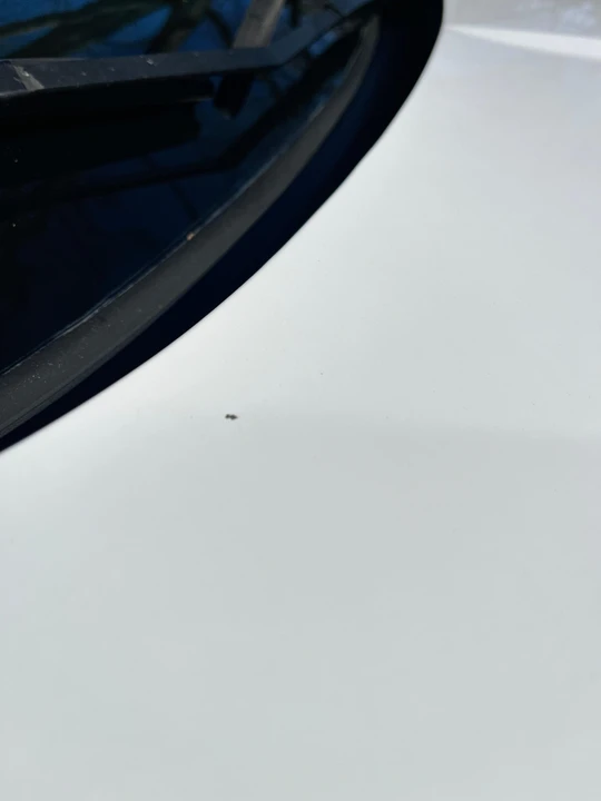 2015 Ford Fiesta - Image 17 of 28