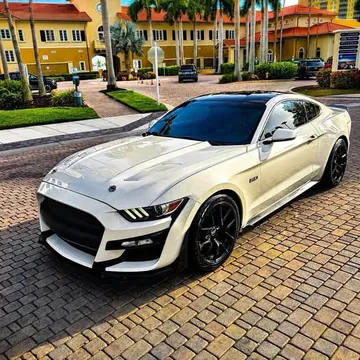 2015 Ford Mustang 50th Anniversary