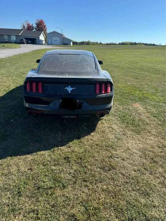 2015 Ford S550 Mustang - Image 8 of 14