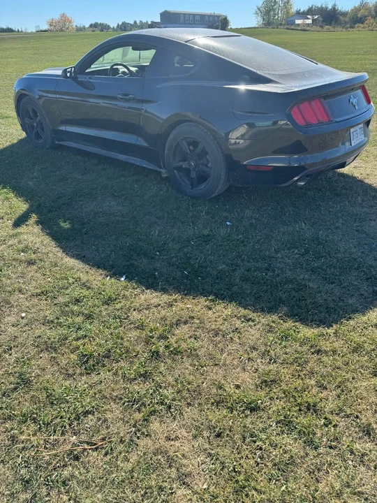 2015 Ford S550 Mustang - Image 3 of 14