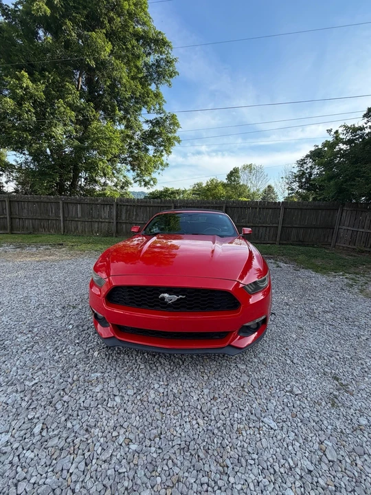 2015 Ford Mustang - Image 2 of 8