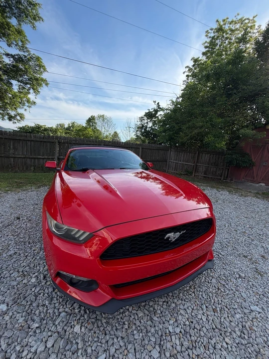 2015 Ford Mustang - Image 4 of 8