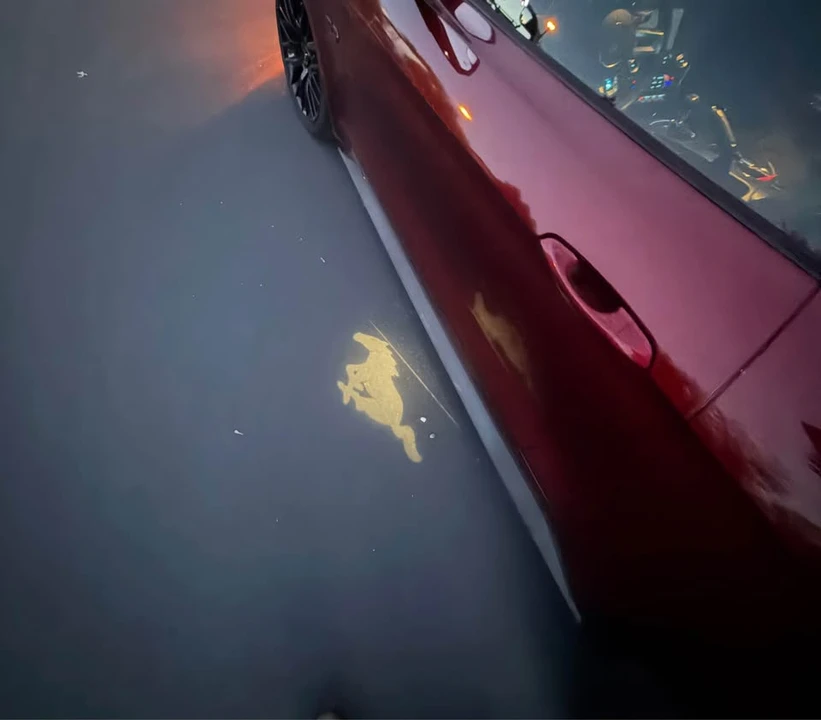 2015 Ford S550 Mustang GT - Image 12 of 13