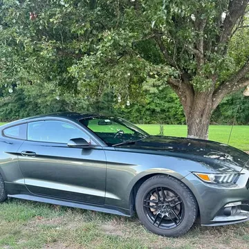 2015 Ford Mustang EcoBoost Coupe 2D