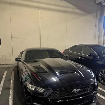 2015 Ford Mustang EcoBoost Coupe 2D