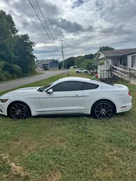 2015 Ford Mustang EcoBoost Coupe 2D