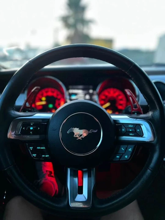2015 Ford S550 Mustang - Image 17 of 17