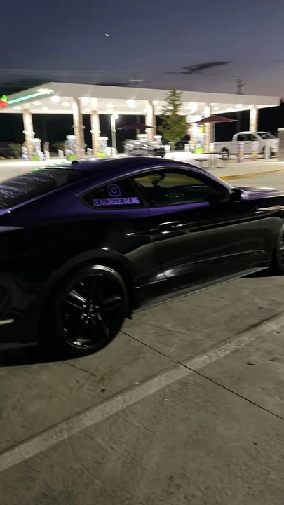 2015 Ford S550 Mustang - Image 15 of 17