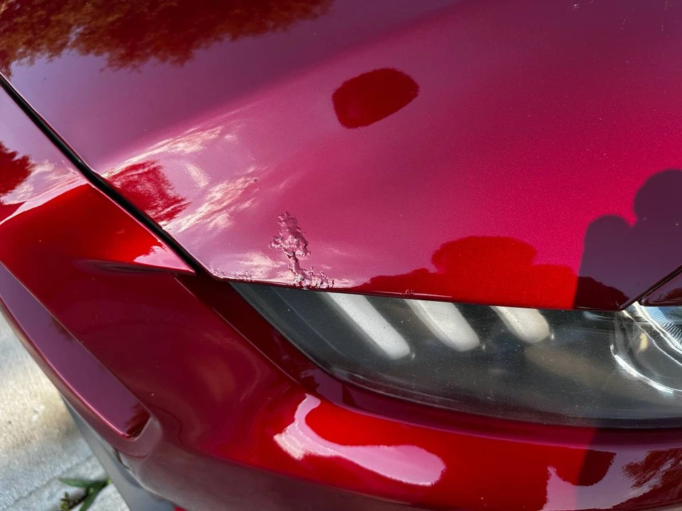 2015 Ford S550 Mustang - Image 21 of 21