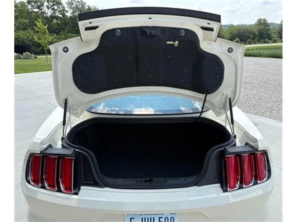 2015 Ford S550 Mustang GT - Image 25 of 31