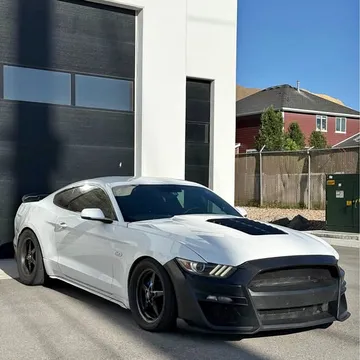 2015 Ford Mustang GT 50 Years Limited Edition