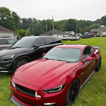 2015 Ford Mustang GT 50 Years Limited Edition Coupe