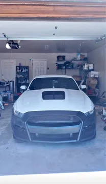 2015 Ford Mustang GT 50 Years Limited Edition Coupe 2D