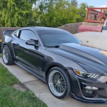 2015 Ford Mustang GT Coupe 2D