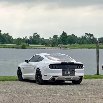 2015 Ford Mustang GT Coupe 2D