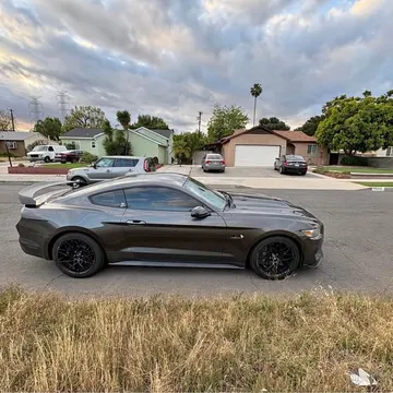 2015 Ford Mustang GT Coupe 2D