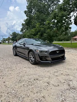 2015 Ford Mustang GT Coupe 2D