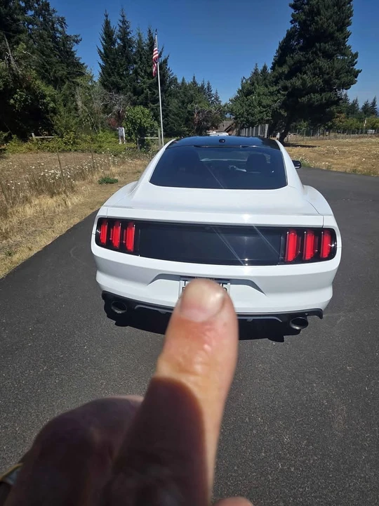 2015 Ford S550 Mustang GT - Image 2 of 7