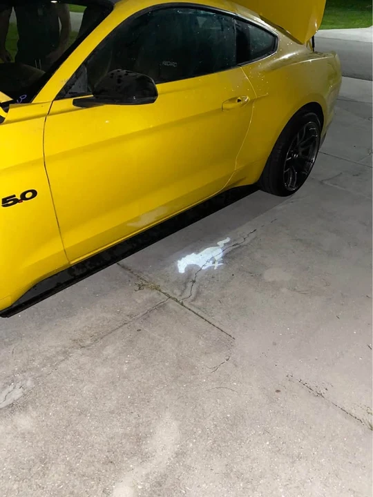 2015 Ford S550 Mustang GT - Image 11 of 13