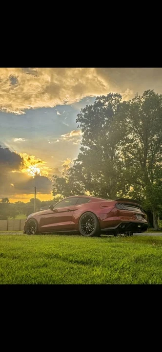 2015 Ford S550 Mustang GT - Image 3 of 19