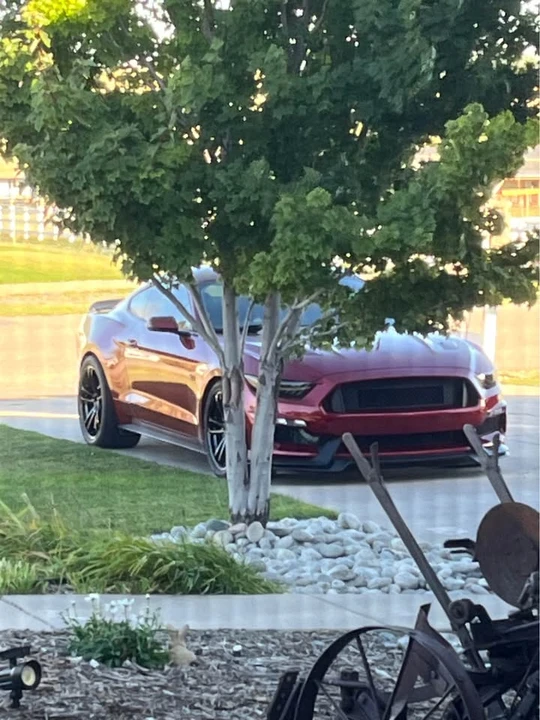 2015 Ford S550 Mustang GT - Image 16 of 19