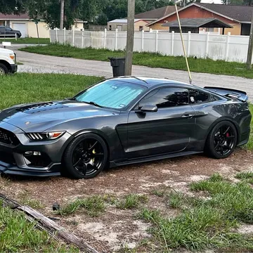 2015 Ford Mustang GT Premium/PP1