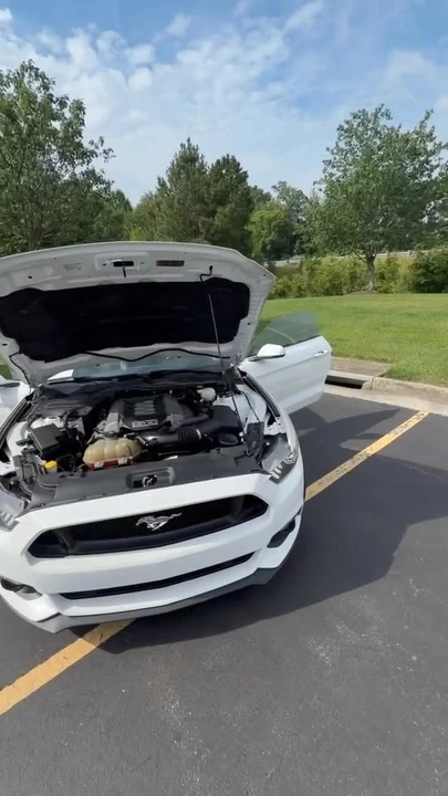 2015 Ford S550 Mustang GT - Image 10 of 10