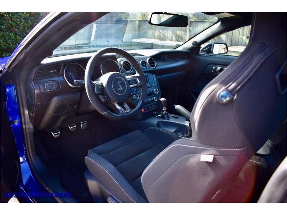 2015 Ford S550 Shelby Mustang GT350 - Image 14 of 14