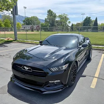 2015 Ford Mustang GT 50th Anniversary