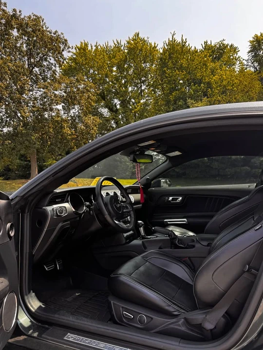 2015 Ford S550 Mustang GT - Image 14 of 19