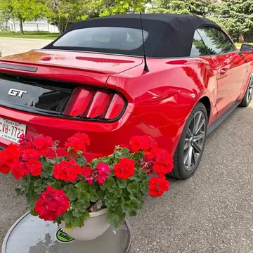 2015 Ford Mustang GT Convertible