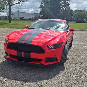 2015 Ford Mustang GT 50 Years Edition