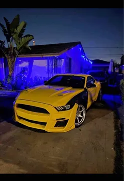 2015 Ford Mustang GT Premium 50th Anniversary