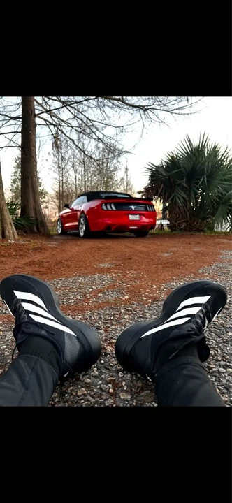 2015 Ford S550 Mustang - Image 16 of 17