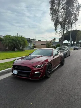 2015 Ford Mustang Performance 5.0