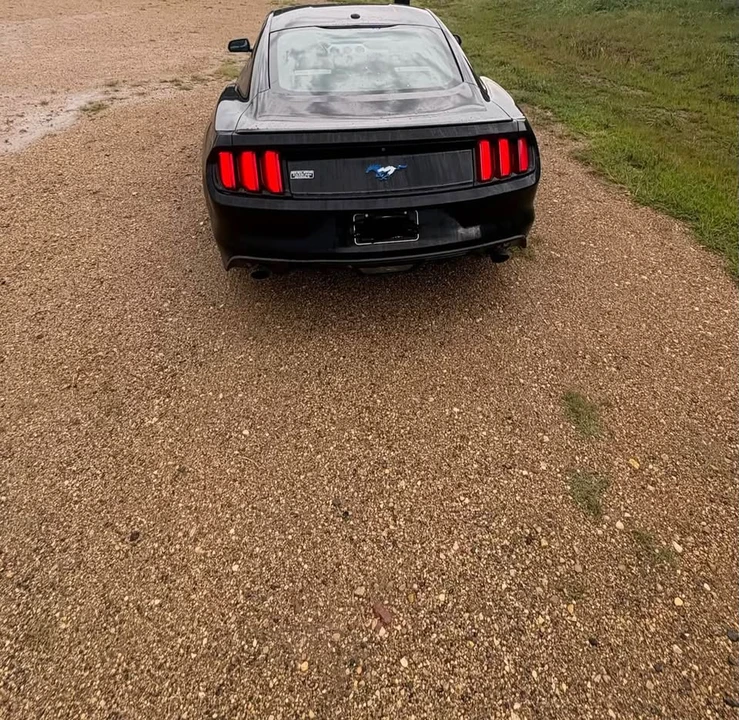 2015 Ford S550 Mustang - Image 13 of 13