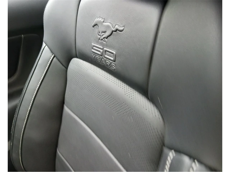 2015 Ford S550 Shelby Mustang GT & GT-H & Terlingua & GTE - Image 23 of 31