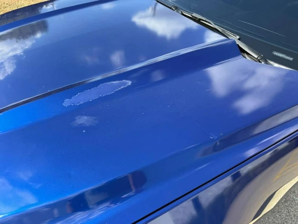 2015 Ford S550 Mustang - Image 12 of 23