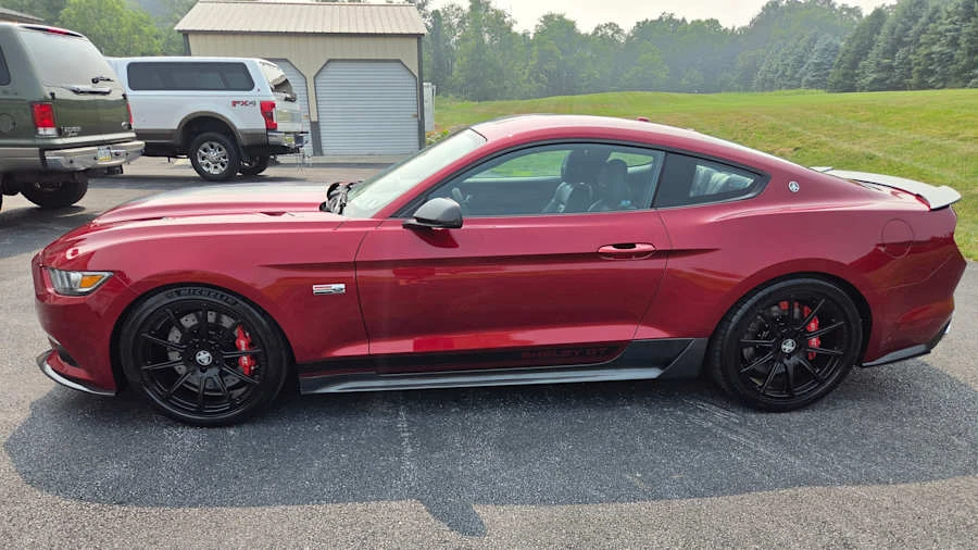 2015 Ford S550 Shelby Mustang GT & GT-H & Terlingua & GTE - Image 4 of 8
