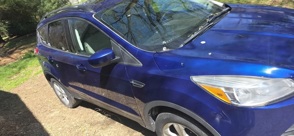 2015 Ford Escape - Image 2 of 7
