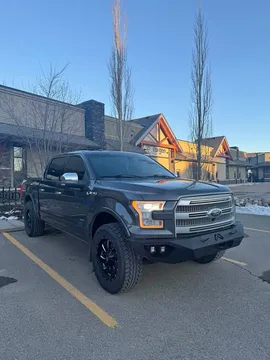 2015 Ford F-150 Platinum