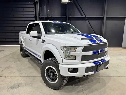 2015 Ford F-150 Shelby