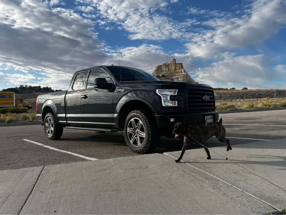 2015 Ford F-150 13th Gen - Image 2 of 8