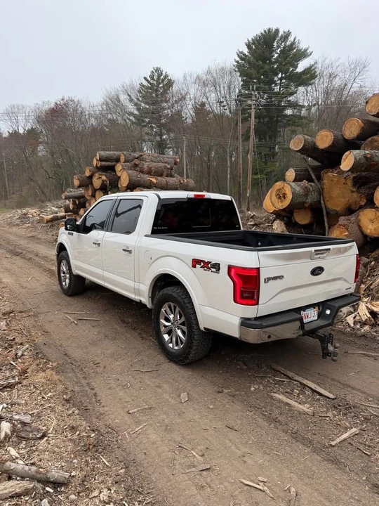 2015 Ford F-150 13th Gen - Image 3 of 8