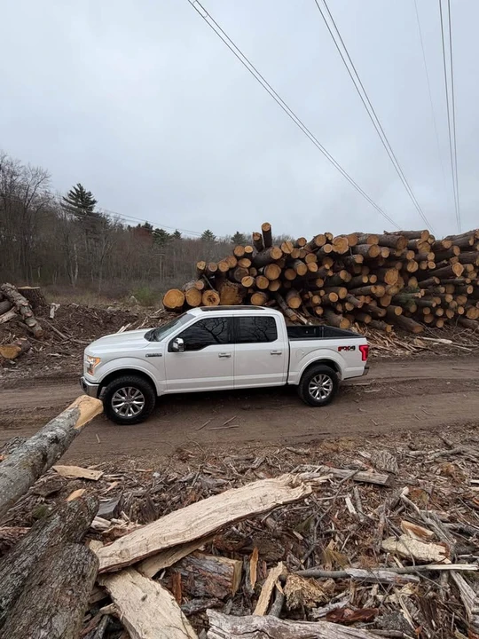 2015 Ford F-150 13th Gen - Image 4 of 8